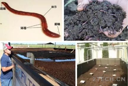 法国农村污水蚯蚓生物滤池处理技术 - 环保之家 