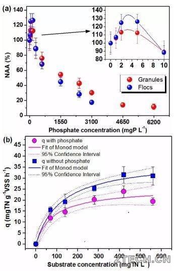 探究：磷酸盐对高效厌氧氨氧化系统性能和微生物群落影响 - 环保之家 