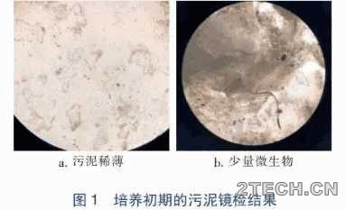 案例：反硝化滤池在上海某城镇污水厂提标改造工程应用 - 环保之家 