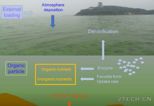 探讨：湖泊富营养化治理——控磷？还是控氮？ - 环保之家 