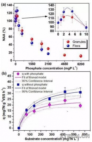 探究：磷酸盐对高效厌氧氨氧化系统性能和微生物群落影响