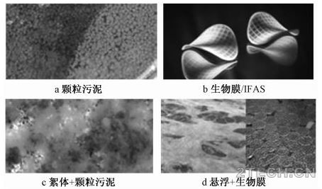 环保之家7.JPG