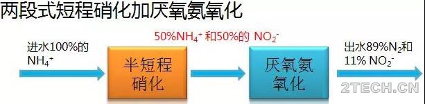 说说：厌氧氨氧化发现到应用的阶段 - 环保之家 