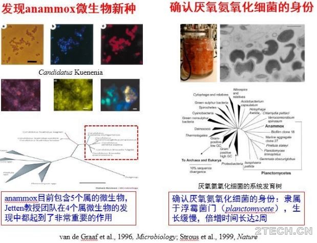 深度：厌氧氨氧化废水技术发展及其应用 - 环保之家 