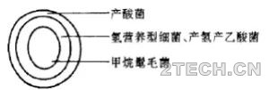 说说：厌氧颗粒物污泥的性能指标 - 环保之家 