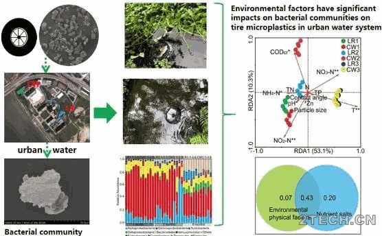 前沿：轮胎微塑料上定植细菌群落及影响研究 - 环保之家 