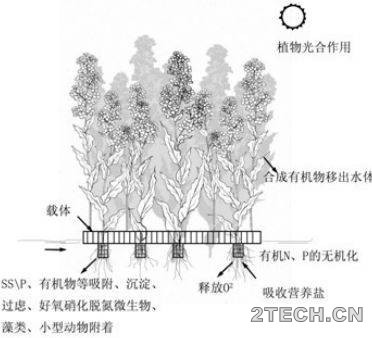 实践：河湖生态治理之生态浮岛 - 环保之家 