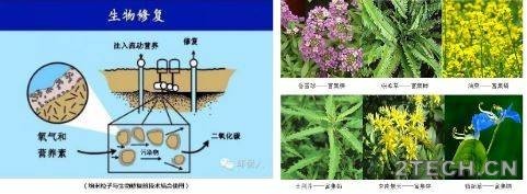 解析：矿山重金属土壤污染修复技术 - 环保之家 