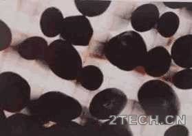 环保之家2.JPG