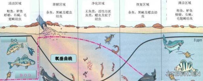 话说：污水水质之生化需氧量[BOD] - 环保之家 