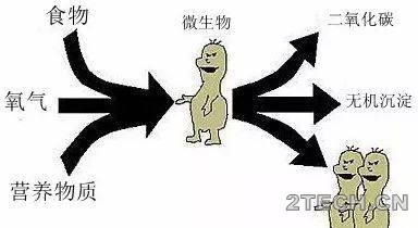 话说：生物处理工艺活性污泥篇之食微比[F/M] - 环保之家 