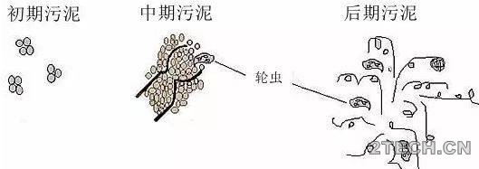 话说：生物处理工艺活性污泥篇之污泥体积指数[SVI] - 环保之家 