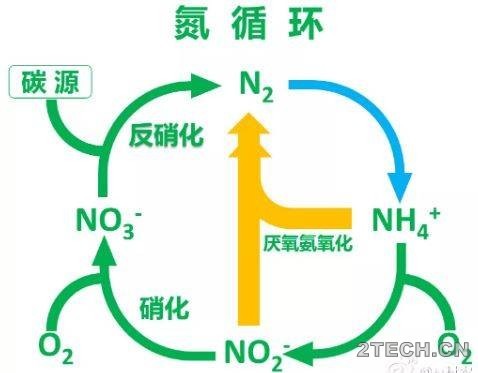 探究：厌氧氨氧化菌里的燃料电池 - 环保之家 