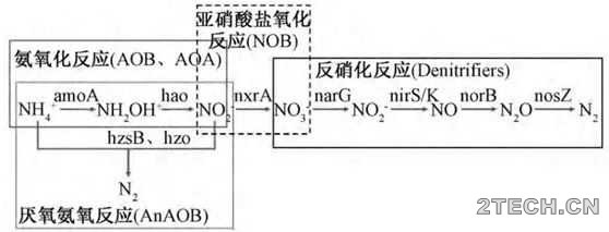 环保之家1.JPG