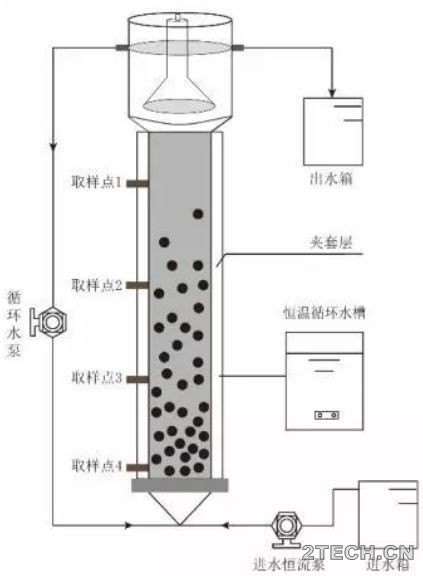 铁离子对厌氧氨氧化污泥富集培养的影响 - 环保之家 