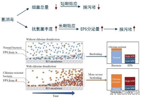 环保之家7.JPG
