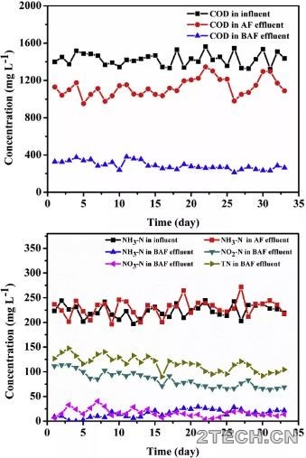 研究：BAF滤池焦化废水过程中N2O和NO的产生机理与群落功能 - 环保之家 