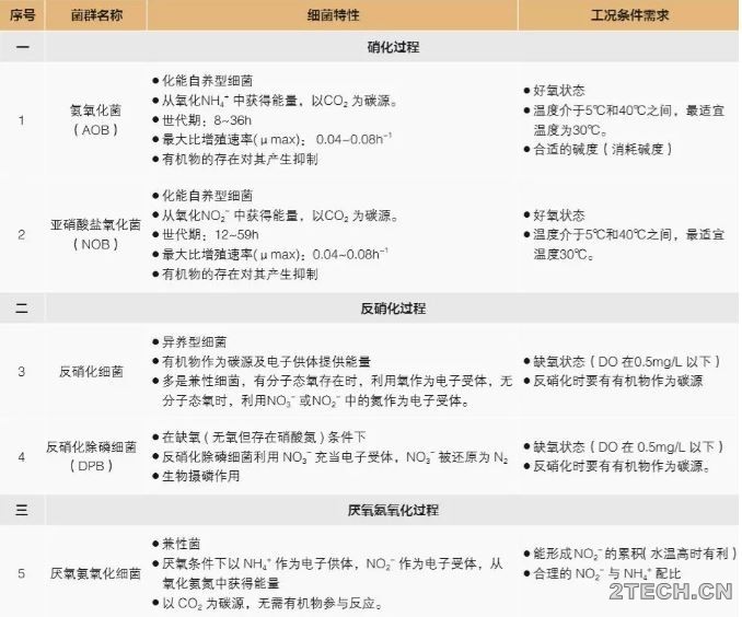 关注：污水中的氮循环 - 环保之家 