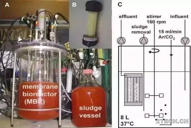 彭永臻：新型生物脱氮除磷能否解决污水处理瓶颈？ - 环保之家 
