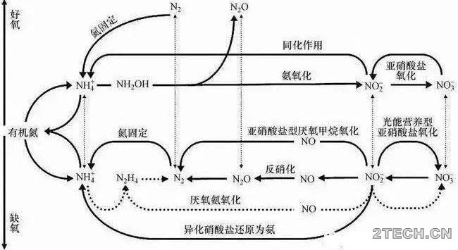 彭永臻：新型生物脱氮除磷能否解决污水处理瓶颈？ - 环保之家 