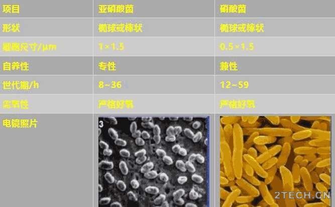 实战：氨氮超标那些事 - 环保之家 