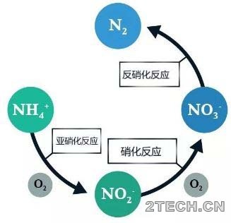 深度：关于内回流，你应该知道的！ - 环保之家 