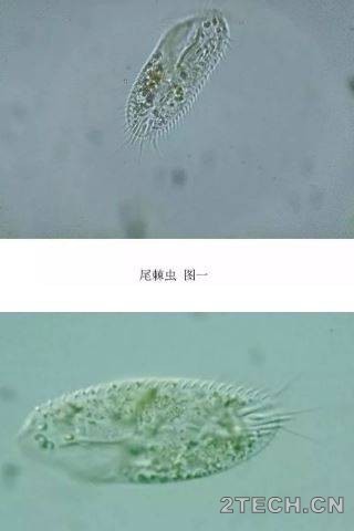 环保之家6.JPG