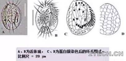 环保之家5.JPG