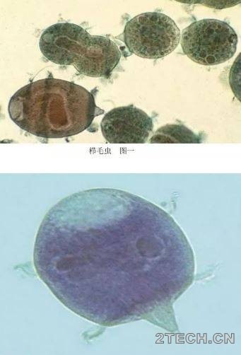 环保之家10.JPG