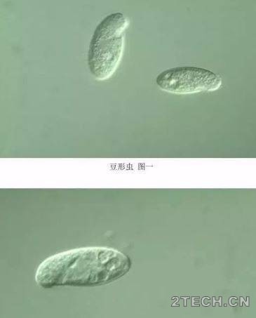 环保之家3.JPG