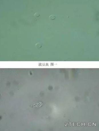 环保之家2.JPG
