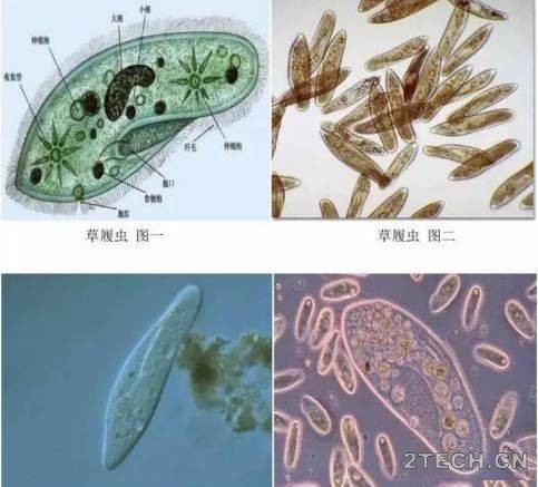 环保之家0.JPG