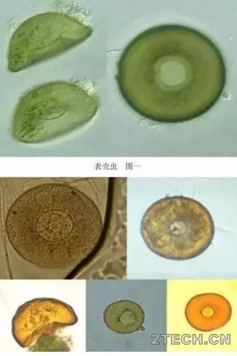环保之家7.JPG