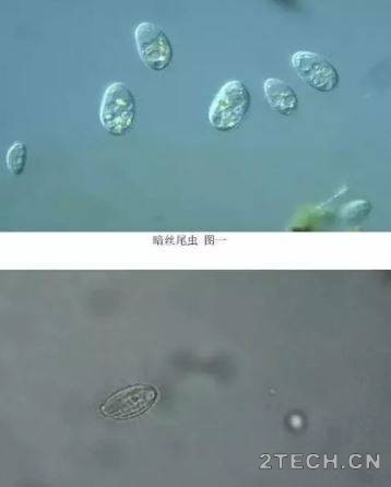 环保之家6.JPG