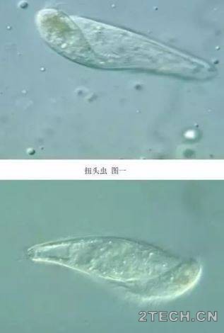 环保之家5.JPG