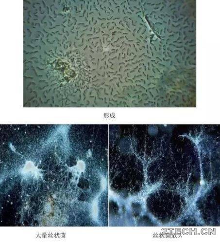 环保之家8.JPG