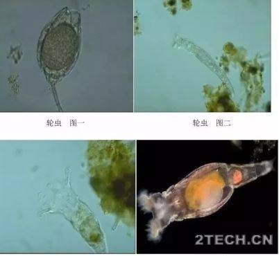环保之家9.JPG