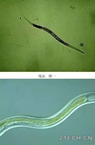 环保之家10.JPG