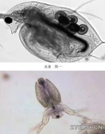 环保之家.JPG