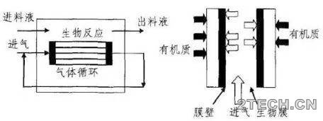 环保之家1.JPG