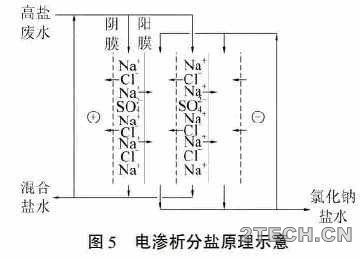 环保之家4.JPG