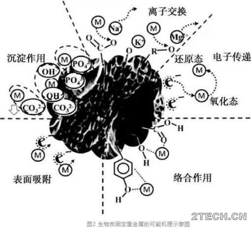 研究：生物质炭净化重金属废水机理 - 环保之家 