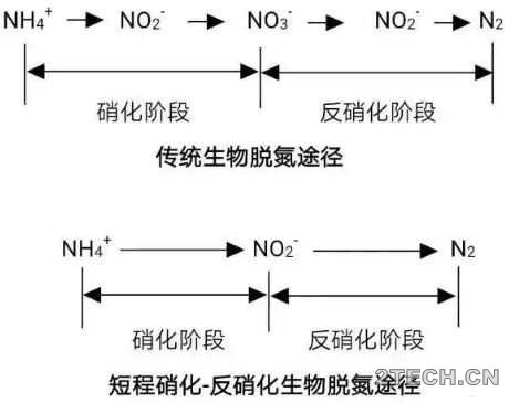 关于短程硝化反硝化，你应该知道的！ - 环保之家 