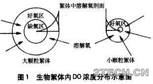 干货：短程硝化反硝化与同步硝化反硝化区别 - 环保之家 