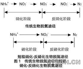干货：短程硝化反硝化与同步硝化反硝化区别 - 环保之家 