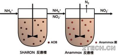 进展：厌氧氨氧化脱氮技术发展 - 环保之家 
