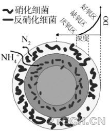 环保之家1.JPG