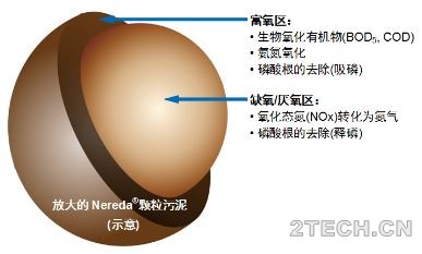 说说：Nereda好氧颗粒污泥工艺 - 环保之家 