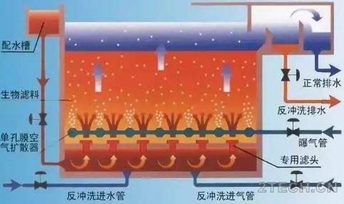 涨姿势 | 关于曝气生物滤池[BAF]，你应该知道的？! - 环保之家 