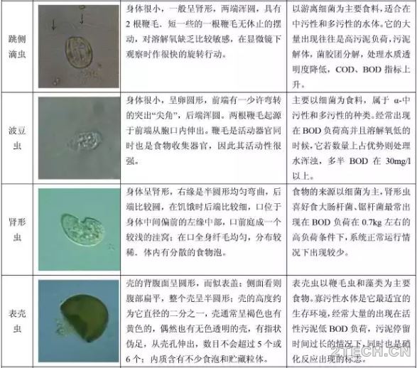 环保之家1.JPG